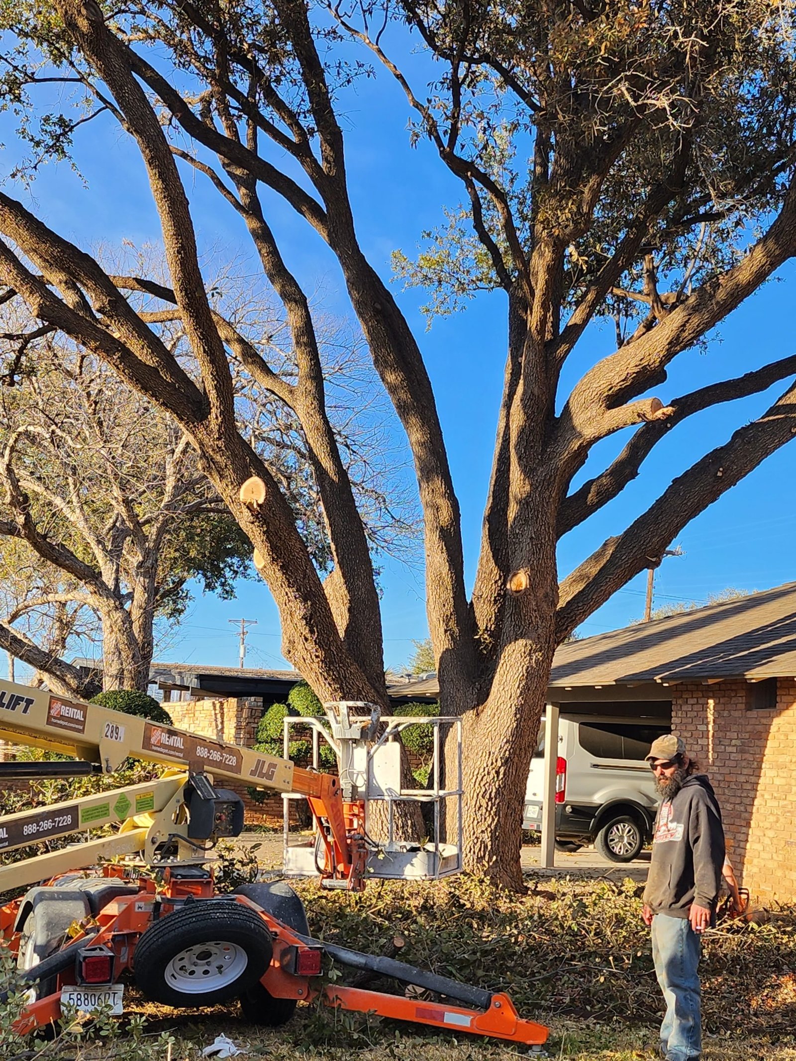 Best Landscapers Near Me Odessa