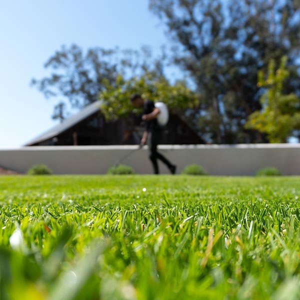Commercial Landscaping Odessa