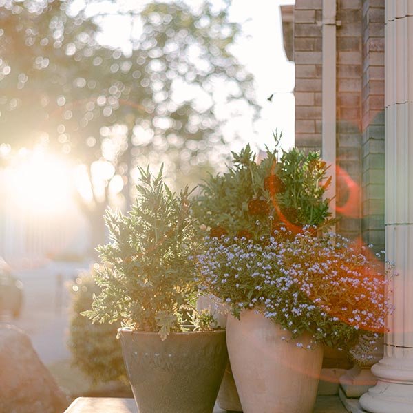landscape maintenance