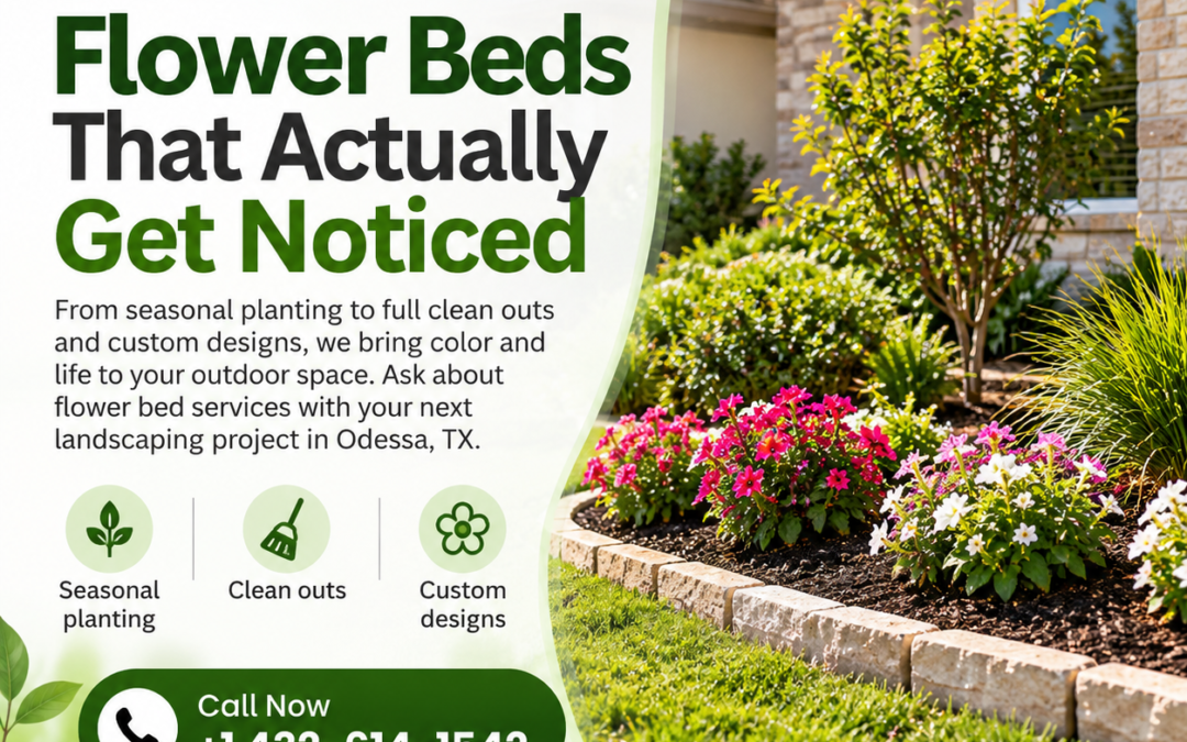 What Does Lawn Care in Odessa TX Include? | BTL Odessa